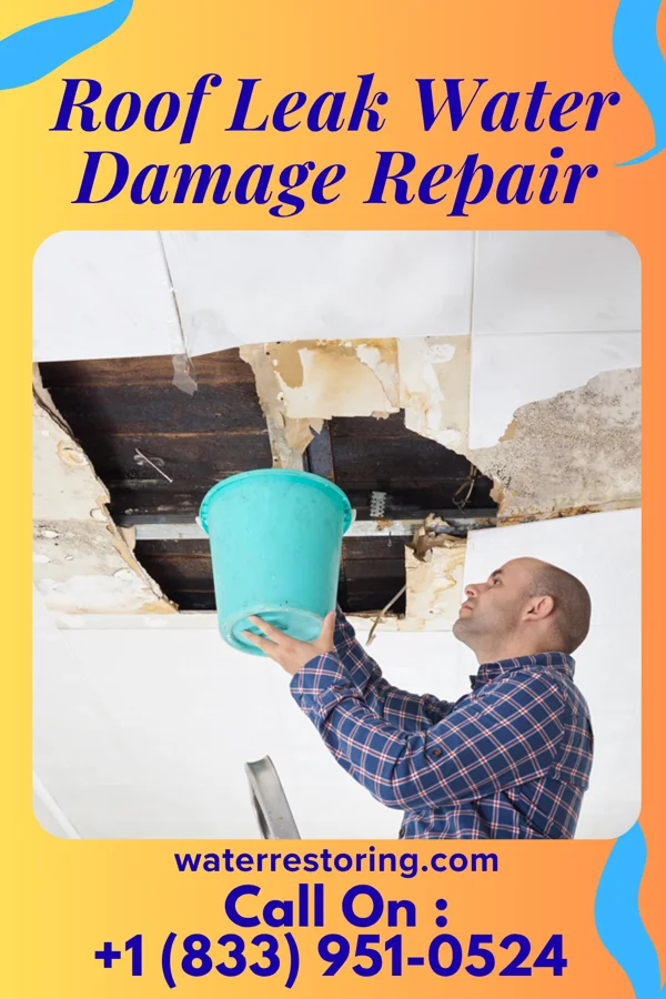 Roof Leak Water Damage Repair in West Alto Bonito, TX