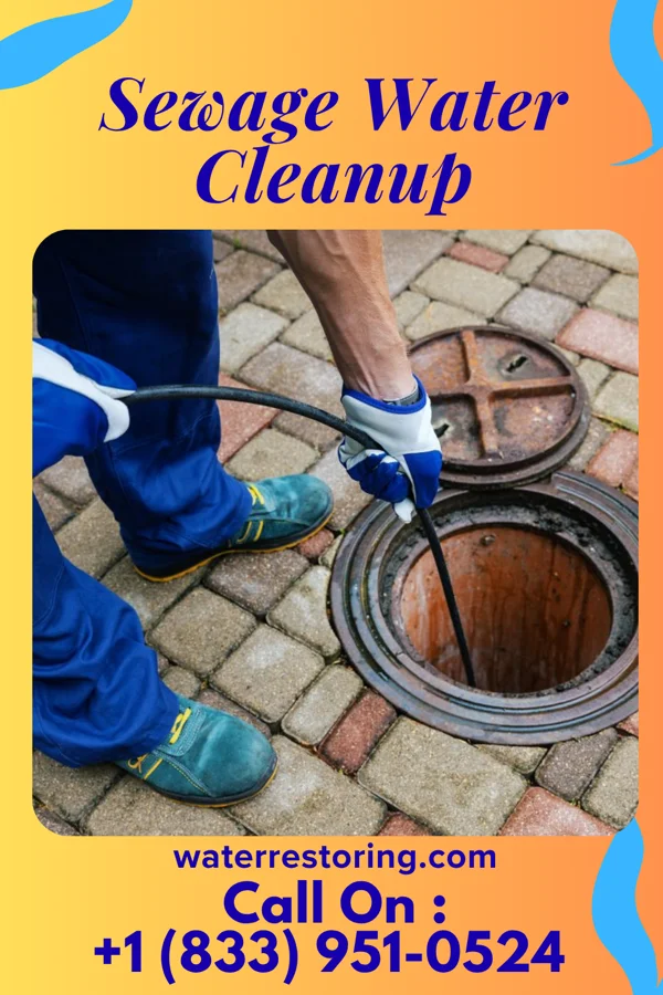 Sewage Water Cleanup in West Alto Bonito, TX