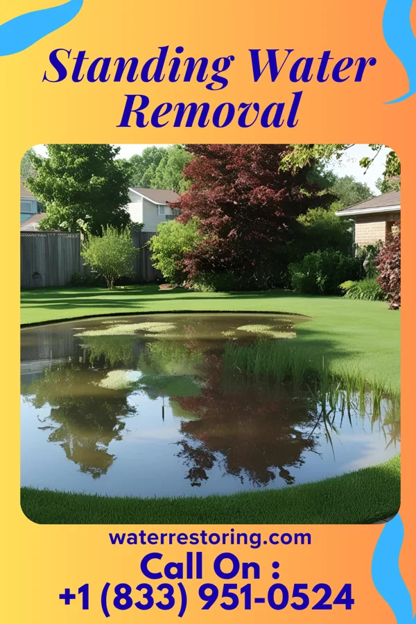 Standing Water Removal in West Alto Bonito, TX